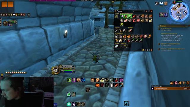 Wow Sirus Hardcore x1 качаем друлей) смотреть онлайн