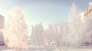 В Стрежевом жить....