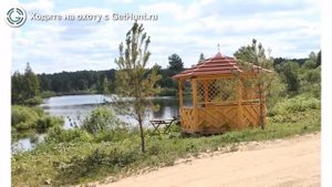 Охота в Тверской области – Охотхозяйство «Экомир» охота на лося в Тверской области