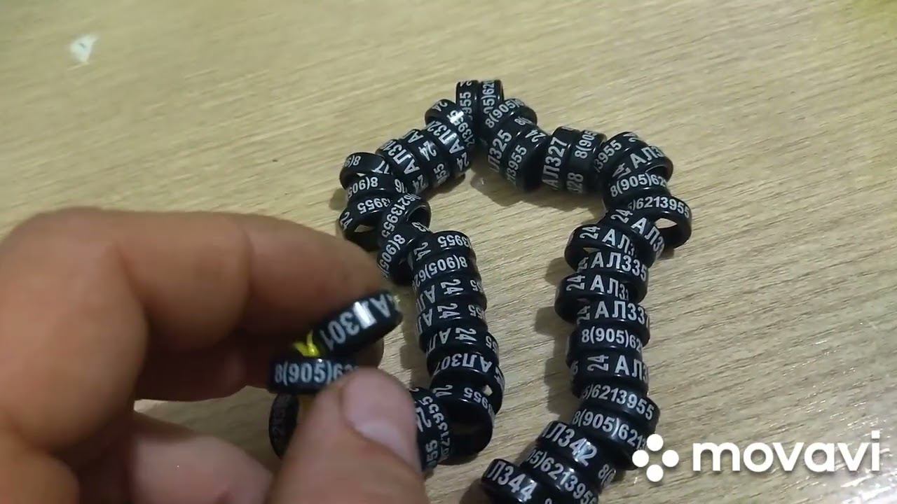 Родовые кольца для подсадных уток. смотреть онлайн