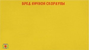 А ВЫ ЗНАЛИ? Вот почему не нужно выбрасывать яичную скорлупу. Польза яичной скорлупы