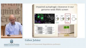 Szent-Györgyi Mentorok előadásai - Juhász Gábor