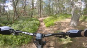 MTB Änggårdsbergen, Best Of on NS Snabb 130