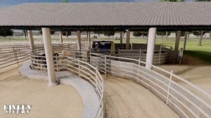 Откорм на 10000 голов КРС