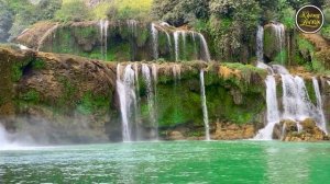 Nhạc Không Lời Hay Trên Cả Tuyệt Vời, Nhạc Phòng Trà Guitar Saxophone Phê Sao Mà Chịu Nổi