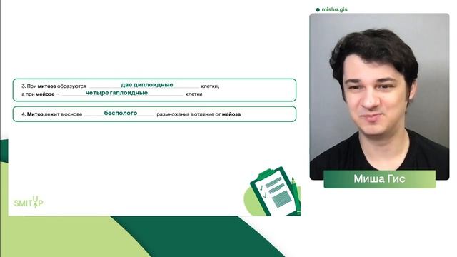 Отличия митоза и мейоза | Биология с Мишей Гис смотреть онлайн