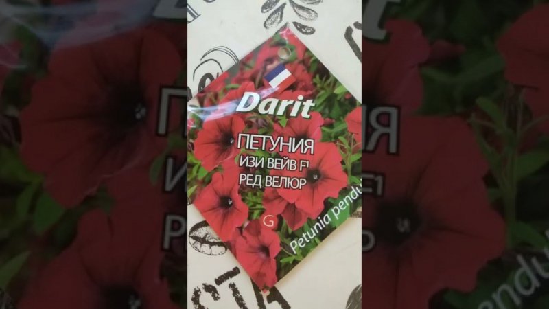 Петуния  Изи Вейв