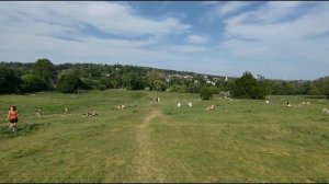 One of the largest park in North London ❤️ Hampstead Heath ❤️ Vlog-8