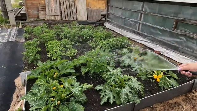 Посылка от Любимого Василька подарки для родных и близких