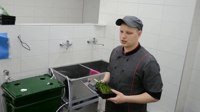 Отзыв о работе системы выращивания микрозелени смотреть онлайн