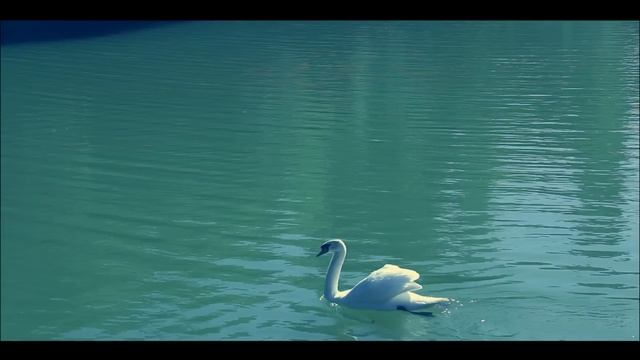 Қанат Әбдіраман Жолданбай қалған хат смотреть онлайн