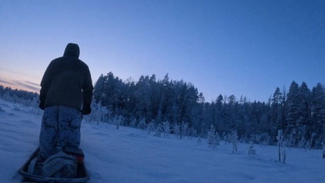 Минус -25 в лесу. Катаемся на мотособаках. #охота #мотособака #мороз #hunting #hunter #-25 #frozen