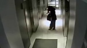 Собака и лифт