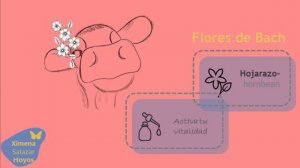 FLORES DE BACH GRUPO # 2 HOJARAZO – HORNBEAN