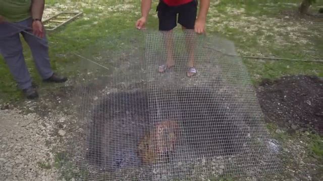 ПРОШЛОГОДНЯЯ ГОВЯДИНА | ВКУСНЕЙШЕЕ БЛЮДО из ВСЕХ, что Я ГОТОВИЛ смотреть онлайн