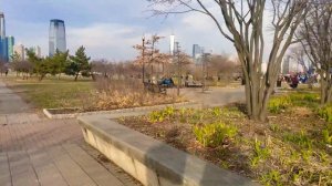 "Где в США все люди? Улицы пустые как после зомбиапокалипсиса!"