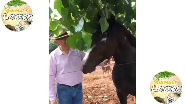 The horse attacked the little girl And please protect your children смотреть онлайн