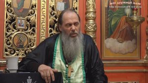 Можно ли исповедаться не причащаясь? (прот. Владимир Головин)