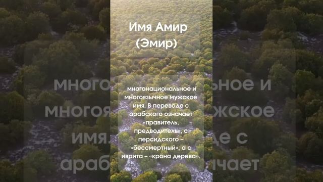 Значение имени Амир (Эмир) #значениеимени #мужскиеимена