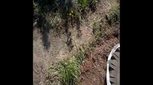 Дренажный канал и колодец на участке