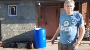 Чубушник "Старбрайт"