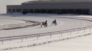 4 Марта 2022   3 Заезд ПРИЗ ИМЕНИ НОВОТОМНИКОВСКОГО КОННОГО ЗАВОДА