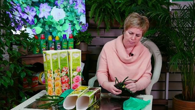 САЖЕНЦЫ РОЗ ? Как сохранить розы до посадки в грунт? ? Мастер класс hitsadTV сад огород