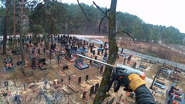 Срезаем 1 сосну и 5 акаций Cutting down a pine tree and 5 acacias смотреть онлайн