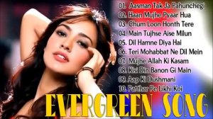 Evergreen Song : सदाबहार पुराने गाने | Old Hindi Songs | Superhit Hindi Songs | Hindi Yugalgeet