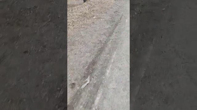 прогулка по г. Зея мкр. Светлый смотреть онлайн