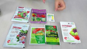 Трипсы убивают ваши орхидеи? Как и чем бороться с ними? Орхидеи и Насекомые вредители.