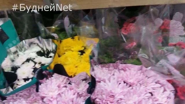 Кашпо из бетона своими руками. Декор. 2 часть.  #кашпо #декор #своимируками.mp4