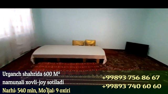 Namunali xovli-joy sotiladi / Urganch 9 oxiri смотреть онлайн