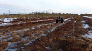 БАРХАН по болоту 2