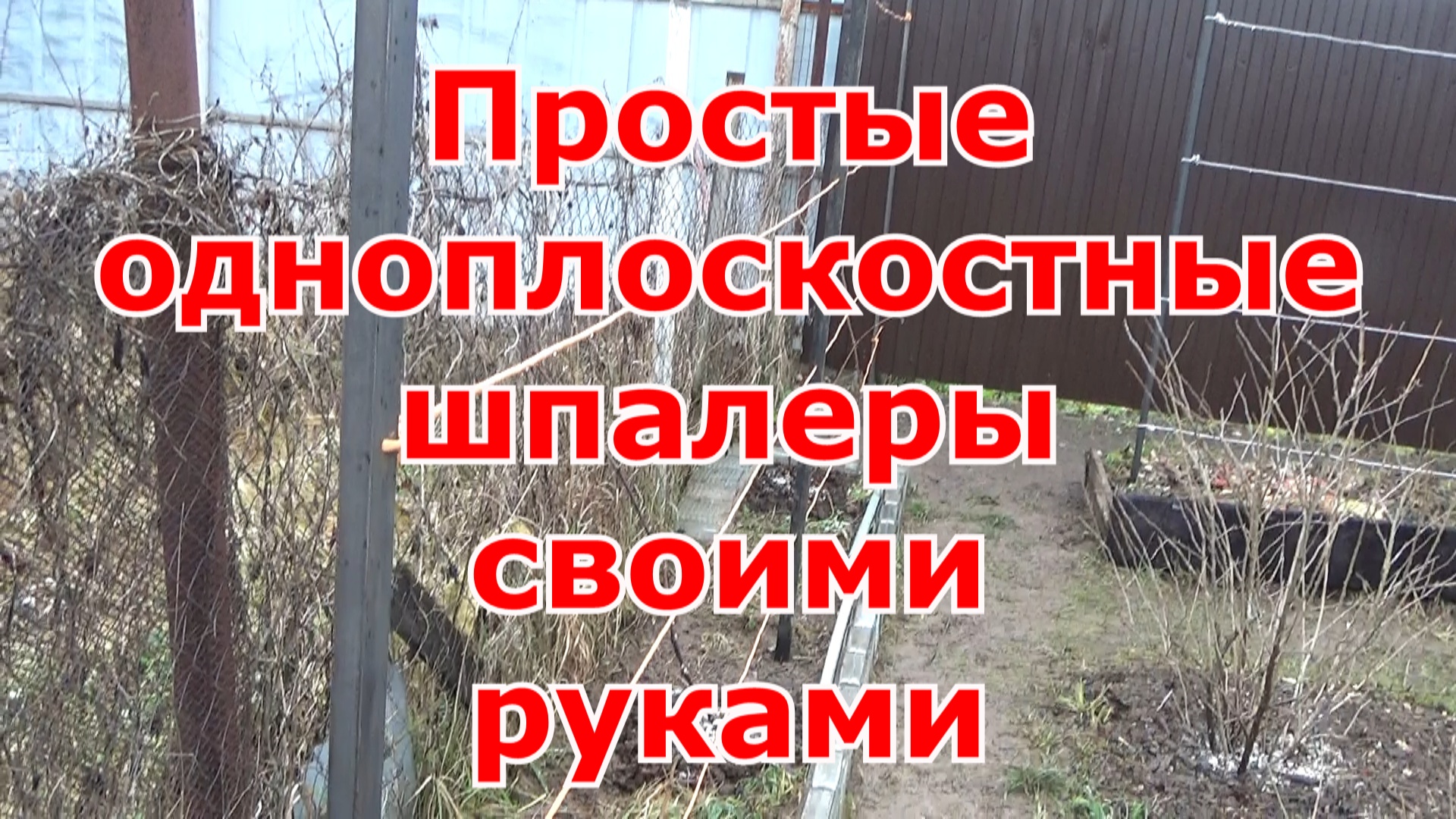 Шпалеры самой простой конструкции для ежевики и винограда своими руками. Просто, быстро и надежно.