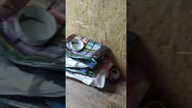 Во сколько обойдется вам постройка большого курятника на 1000 кур, 18на 6 метров, обзор и стоимость смотреть онлайн