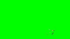 Футаж выписка из роддома, сделано с любовью, печать 6 шт, & maternity hospital #002