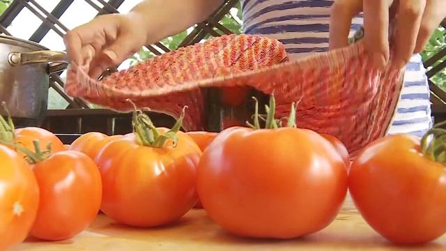 Помидоры в ботве - неужели можно? Даже нужно, и с виноградом тоже! смотреть онлайн