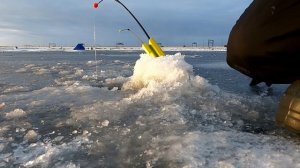 Корюшка Финский залив  декабрь 2021 рыбалка  на дамбе Финского залива СПб