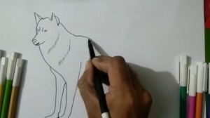 How to draw a wolf| wolf drawing|easy wolf drawing | dibujo de lobo|رسم ذئب للاطفال