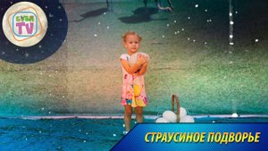 Страусиное подворье