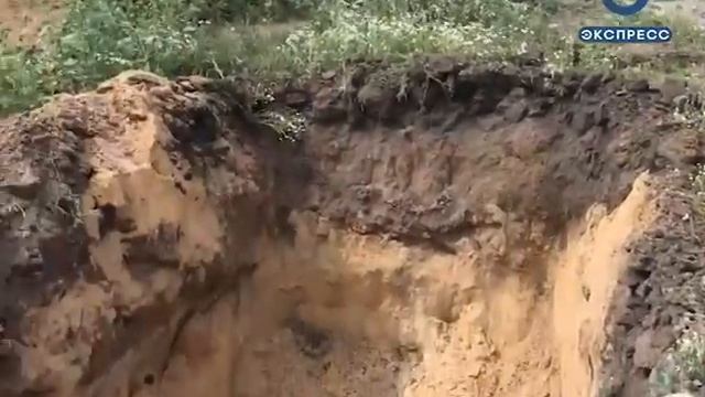 Под Пензой сожгли тонну зараженного зерна смотреть онлайн