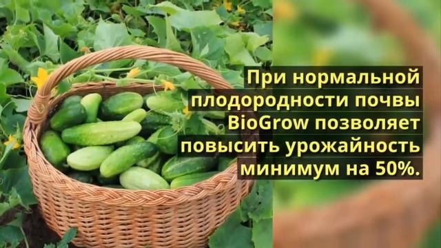 магазин удобрения у натальи