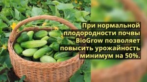 магазин удобрения у натальи