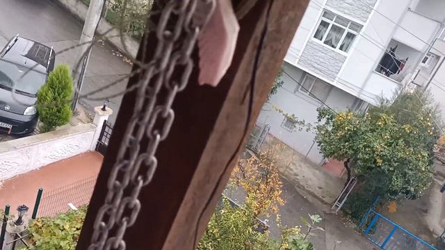 Sukulent Kargosu Hazırlıyorum смотреть онлайн