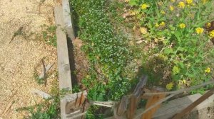 ФРАНЦИЯ: САДЫ-ОГОРОДЫ В ГОРОДЕ