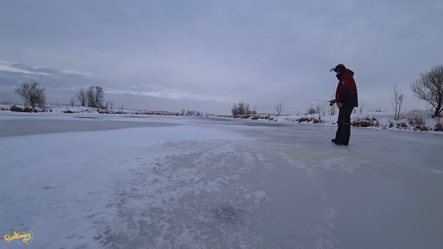 ДА СКОЛЬКО ТУТ ОКУНЯ. Подводная съемка. Первый лёд 23-2024 смотреть онлайн