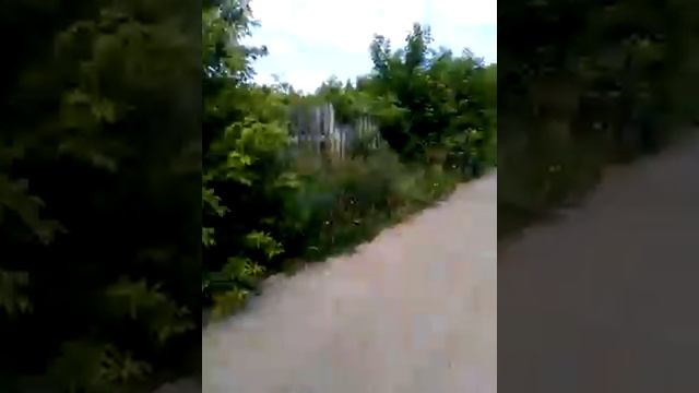 #Бесплатный_забор
