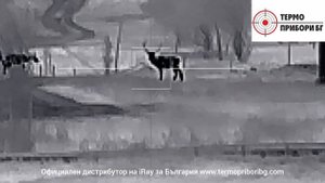 iRay Tube TL25SE откриванв на трофейни животни дистанция от 80м до 700м