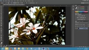 Adobe Photoshop-How to use blur Tool in photoshop